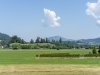 Bergwiesenblick