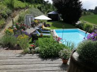 Aussen pool-01