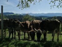 Aussen ranch-02