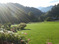 Ausblick Balkon