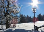 Winter 2017 - Hofeinfahrt