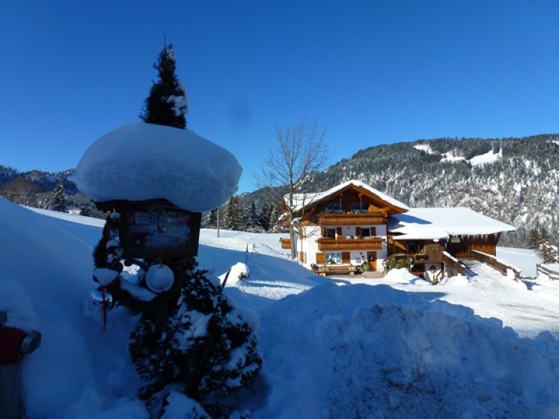 Bei Moni im Winter,Schnee ohne Ende