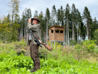 Wildbeobachtung - ein besonderes Erlebnis