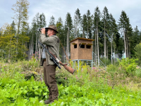 Wildbeobachtung