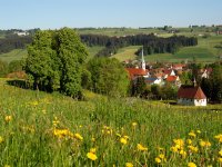 Landschaft-im-Sommer