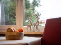 251208 Blattner 185-0693-websize