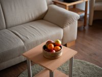 251208 Blattner 196-0750-websize