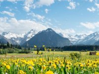 Ferienwohnungen Boxler - Blick von Rubi- Adobe Stock 342371610