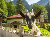 Sommer am Christlessee