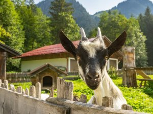 Sommer am Christlessee