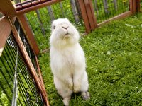 Sommer am Christlessee