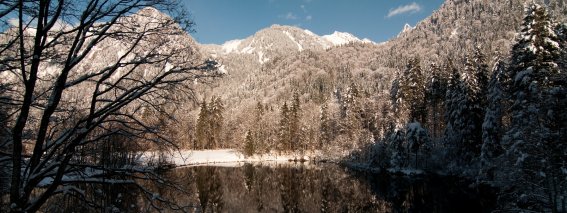 Christlessee im Winter