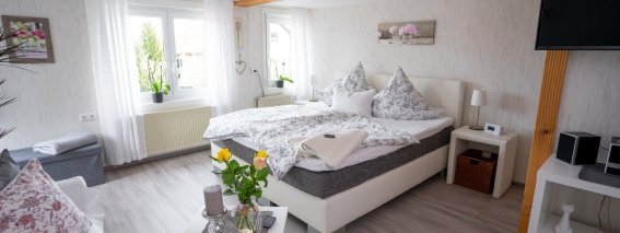 Wohn-Schlafzimmer-Bett