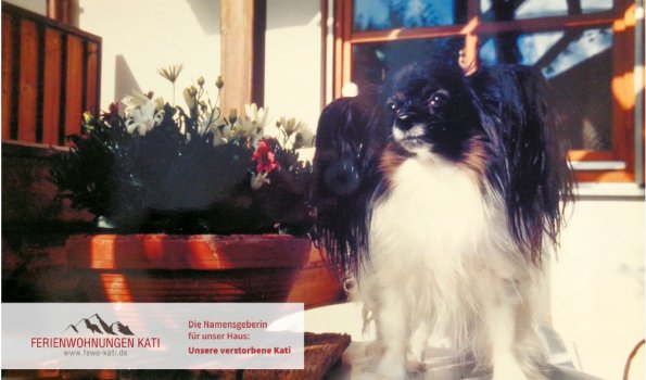 Kati-mit Logo