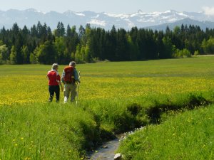 Scheidegg Wandern im Frühjahr