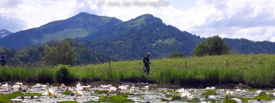 Moorweiher 143528