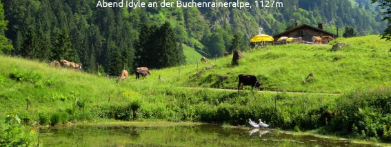 Abend Idyle an der Buchenraineralpe
