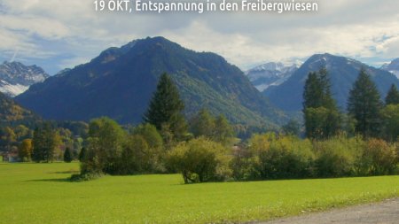 Entspannung in den Freibergwiesen
