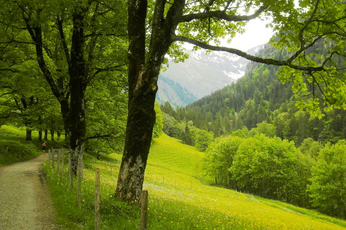 Gerstruben