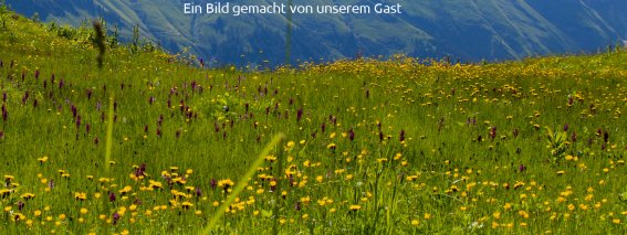 Ein Bild von unsrem Gast