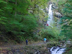 Faltenbachtobelweg IMG_2183