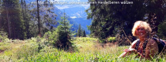 Heidelbeeren