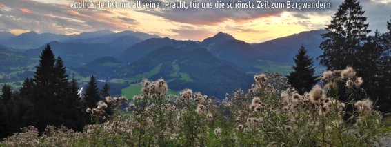 Herbstliche Pracht