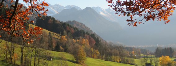 Herbst IMG 0317--