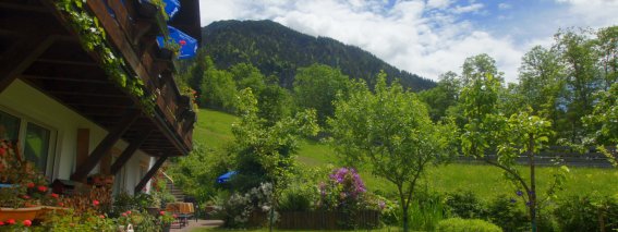 Haus