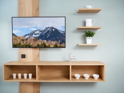 Silberdistel Fernseher