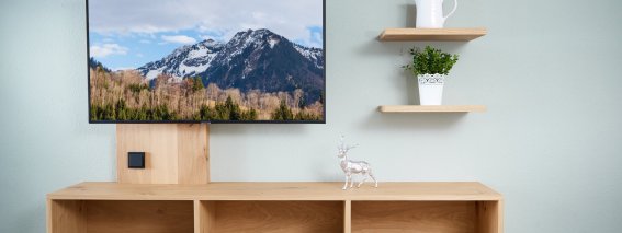 Silberdistel Fernseher