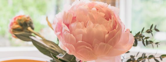 Blumige Details