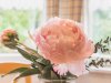 Blumige Details | Ferienwohnung Lingg Oberstdorf