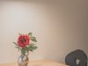 Blumige Details | Ferienwohnung Lingg Oberstdorf Blumige Details | Ferienwohnung Lingg Oberstdorf