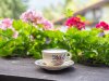 Morgendlicher Kaffee mit Ausblick | Ferienwohnung Lingg Oberstdorf