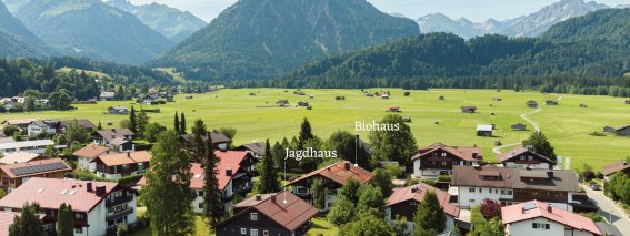 Vogelperspektive auf unsere Häuser | Ferienwohnung Lingg Oberstdorf, Allgäu