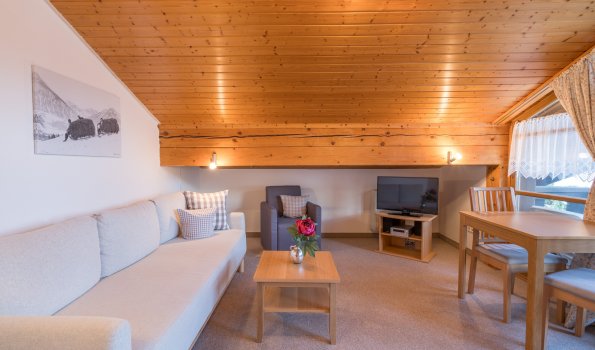 Wohnraum Biohaus Annemone | Ferienwohnung Lingg Oberstdorf