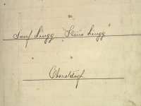 Fremdenbuch historisch | Ferienwohnung Lingg Oberstdorf