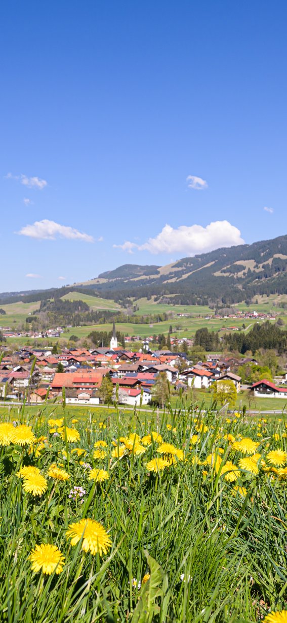 Fischen Frühling Hörnerdörfer Allgäu