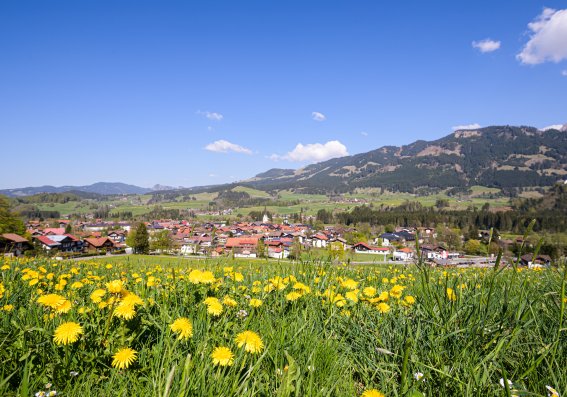 Fischen Frühling Hörnerdörfer Allgäu