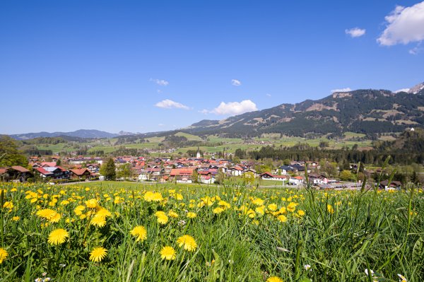 Fischen Frühling Hörnerdörfer Allgäu