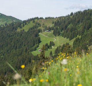 Wandern-hoernerdoerfer-allgaeu