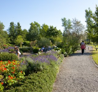 Kraeutergarten-kurpark-fischen-hoernerdoerfer-allg