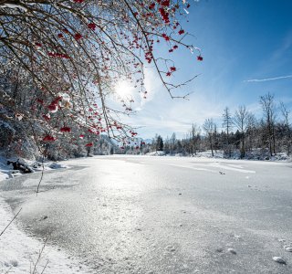 Auwaldsee-winter-fischen-hoernerdoerfer-allgaeu