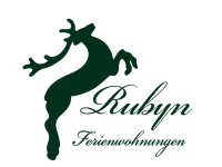 Ruybn Logo transparent
