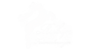 Logo navi weiß transparent scroll