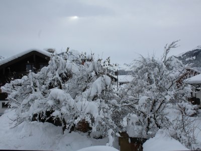 Garten im Winter