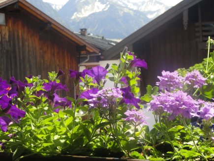 Blick vom Balkon Ferienwohnung 1
