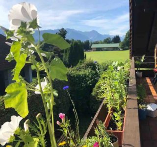 Balkon in der Ferienwohnung Bihlerdorf in Immenstadt | Ferienwohnungen Hierholzer