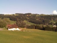Blick Sulzberg